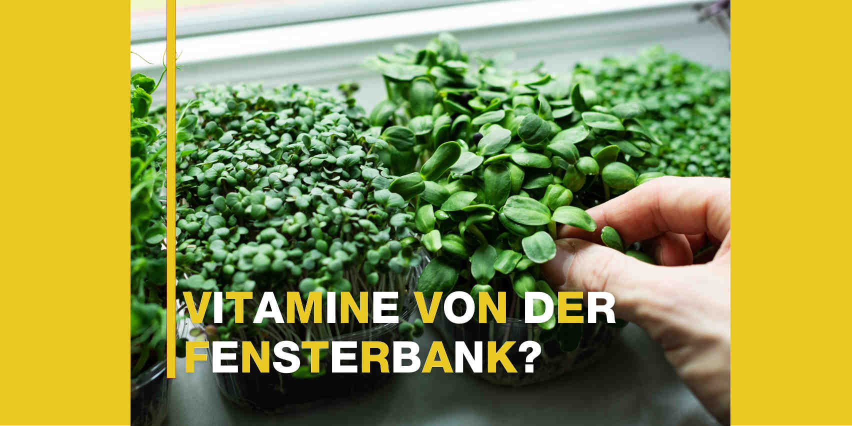 Microgreens